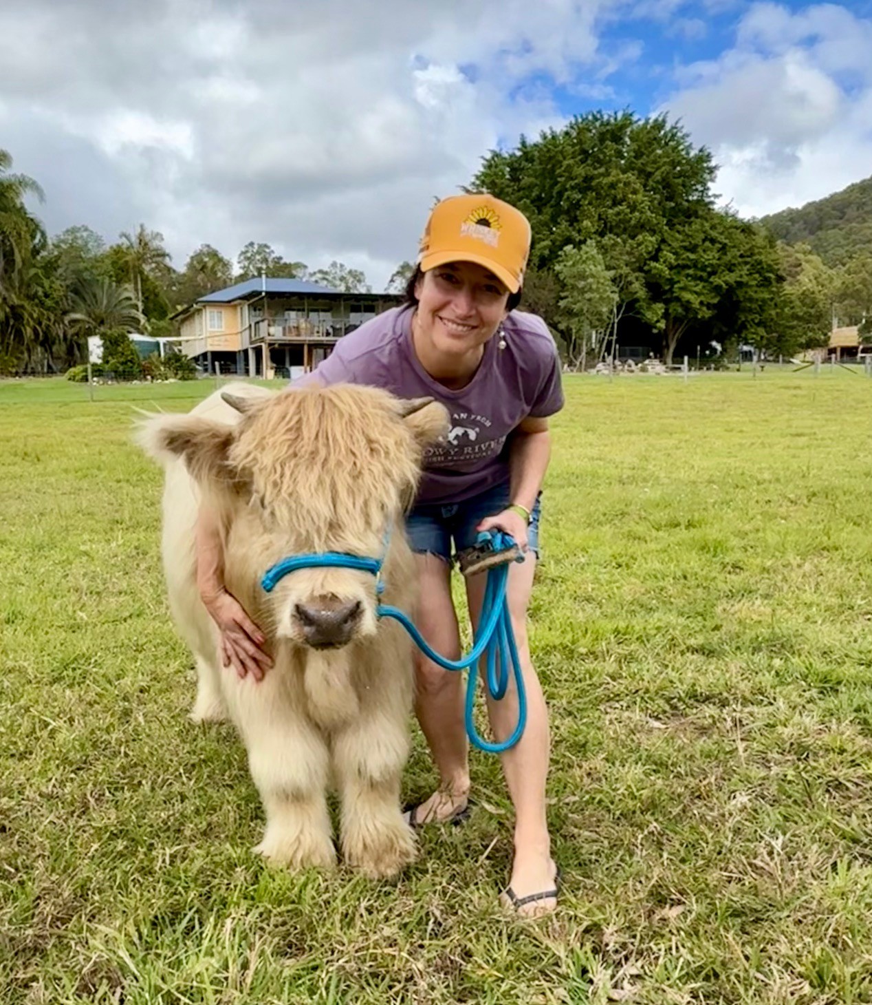 A guest with one of our Highland cattle during The Damside Experience