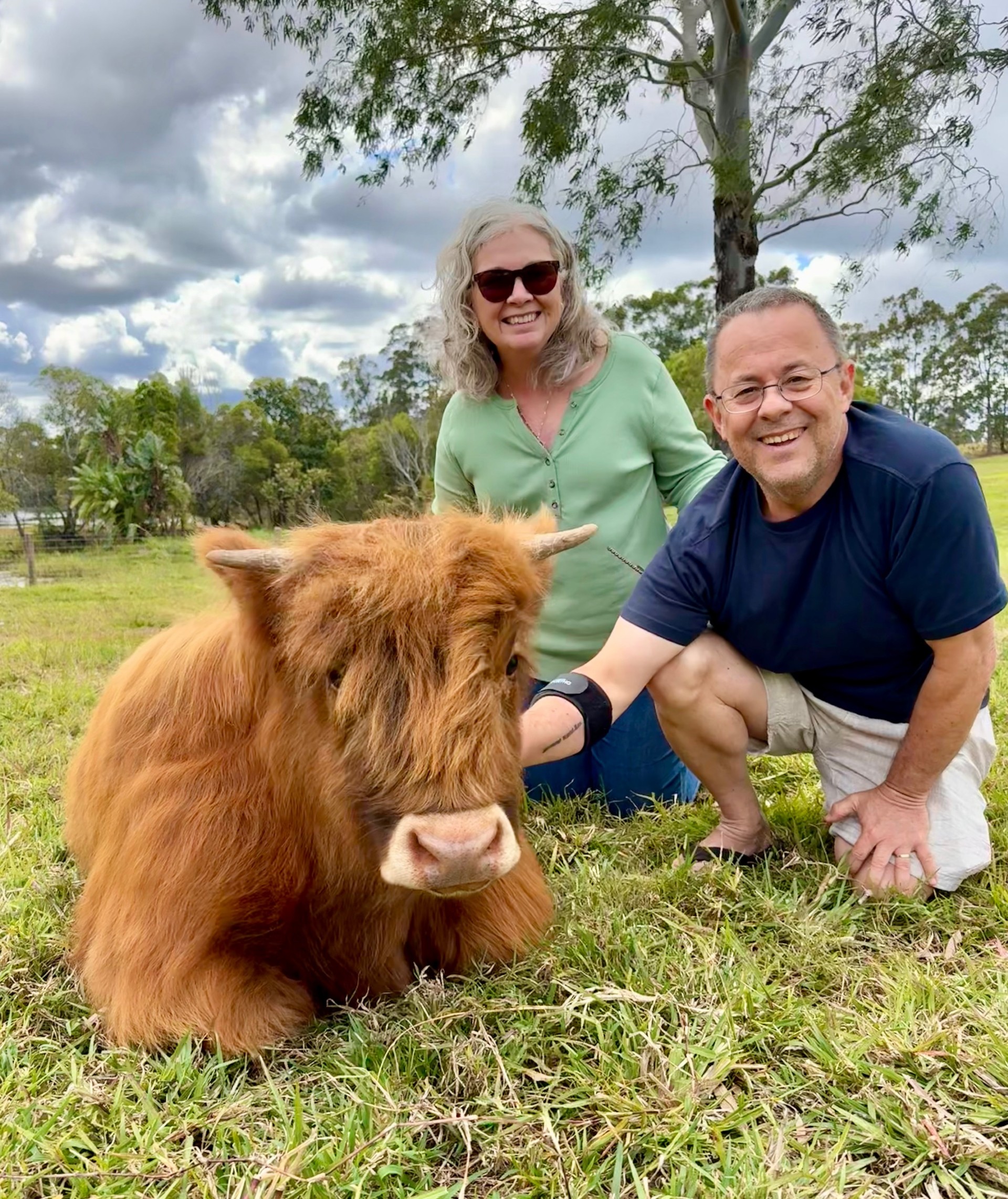 Guests meeting one of our Highland calves up close at Damside Highlands