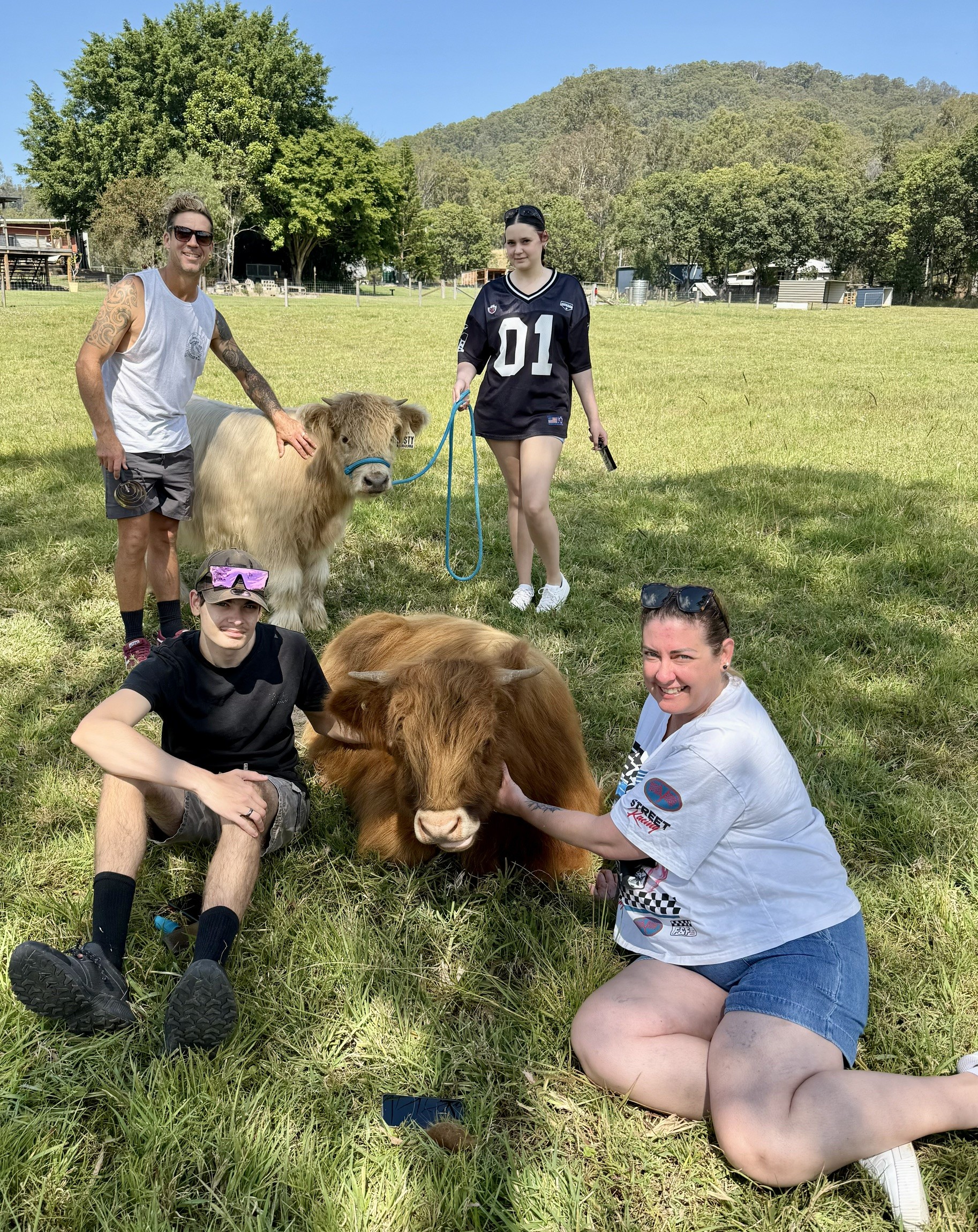 A group of guests spending time with our Highland cattle in the paddock at Damside Highlands