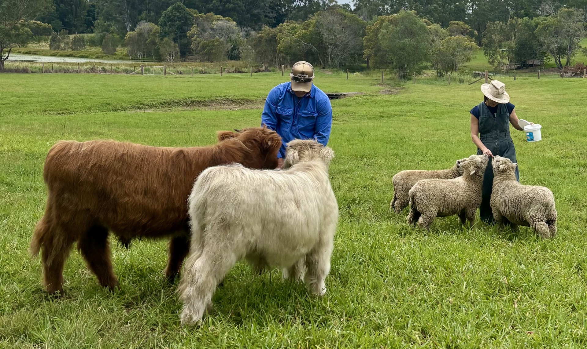 Jason and Larissa with Axel and Dusty at Damside Highlands